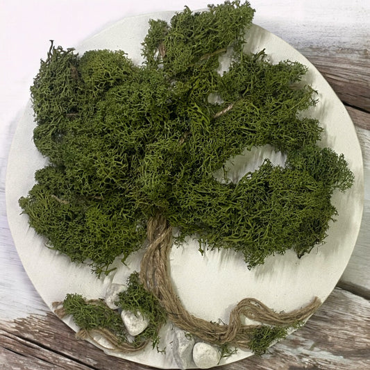 Wild Moss